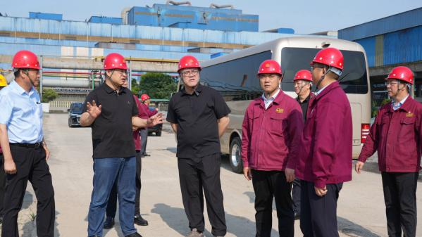 集团党委书记、董事长沈彬来开云手机站登录入口调研指导